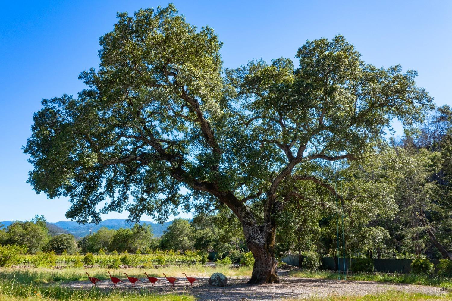 Detail Gallery Image 34 of 45 For 321 Dutch Henry Canyon Rd, Calistoga,  CA 94515 - 2 Beds | 2 Baths