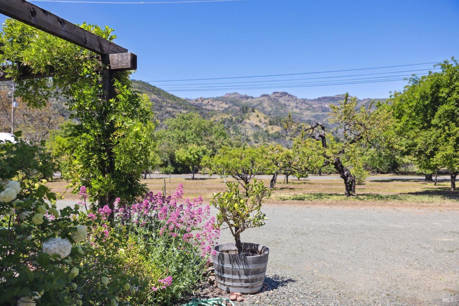 Detail Gallery Image 32 of 39 For 2122 Pickett Rd, Calistoga,  CA 94515 - 3 Beds | 2/1 Baths