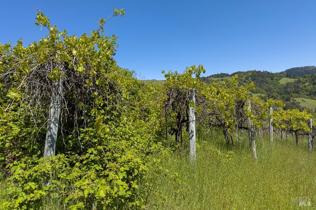 Detail Gallery Image 2 of 23 For 61750 Bell Springs Rd, Laytonville,  CA 95454 - 3 Beds | 2 Baths