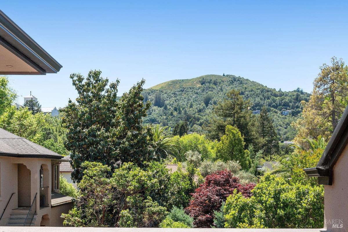 Detail Gallery Image 2 of 61 For 36 Mariposa Ave #1,  San Anselmo,  CA 94960 - 2 Beds | 2/1 Baths