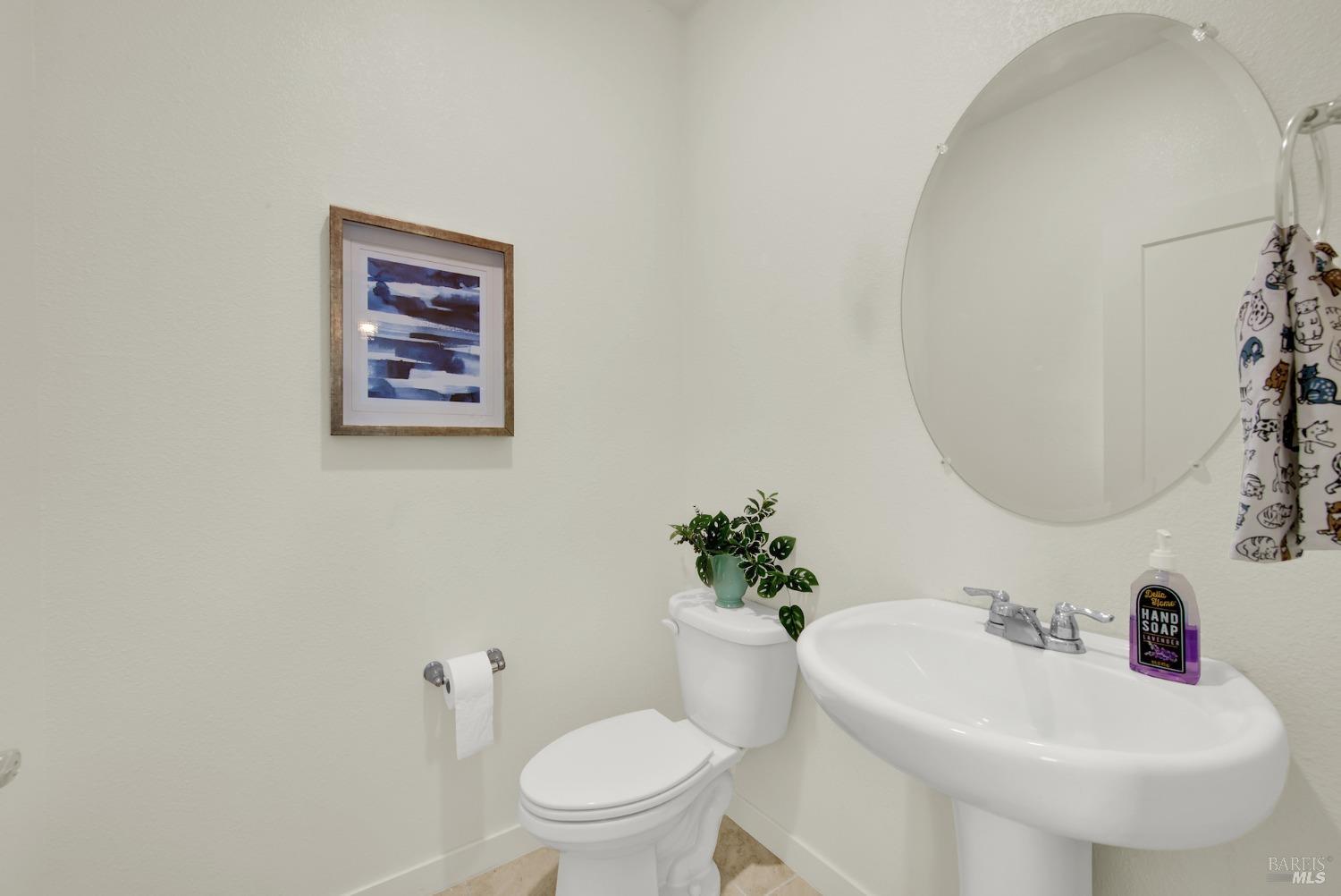 Detail Gallery Image 23 of 52 For 1075 Johns Hopkins Ct, Dixon,  CA 95620 - 3 Beds | 2/1 Baths