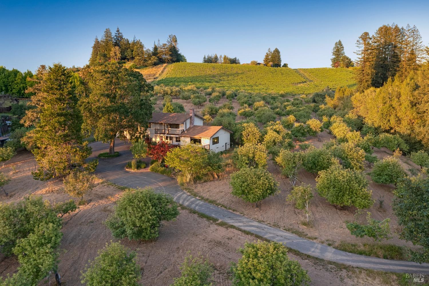 Detail Gallery Image 3 of 85 For 1905 Green Hill Rd, Sebastopol,  CA 95472 - 4 Beds | 2 Baths