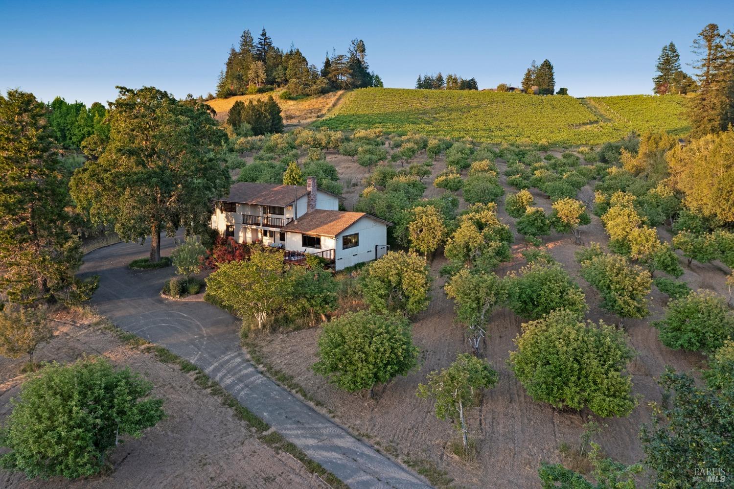 Detail Gallery Image 2 of 85 For 1905 Green Hill Rd, Sebastopol,  CA 95472 - 4 Beds | 2 Baths