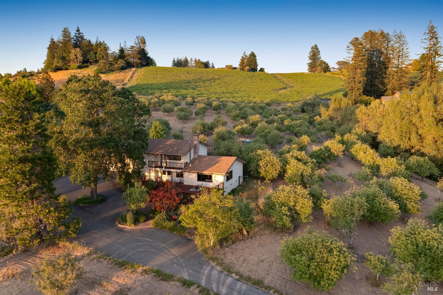 Detail Gallery Image 80 of 85 For 1905 Green Hill Rd, Sebastopol,  CA 95472 - 4 Beds | 2 Baths