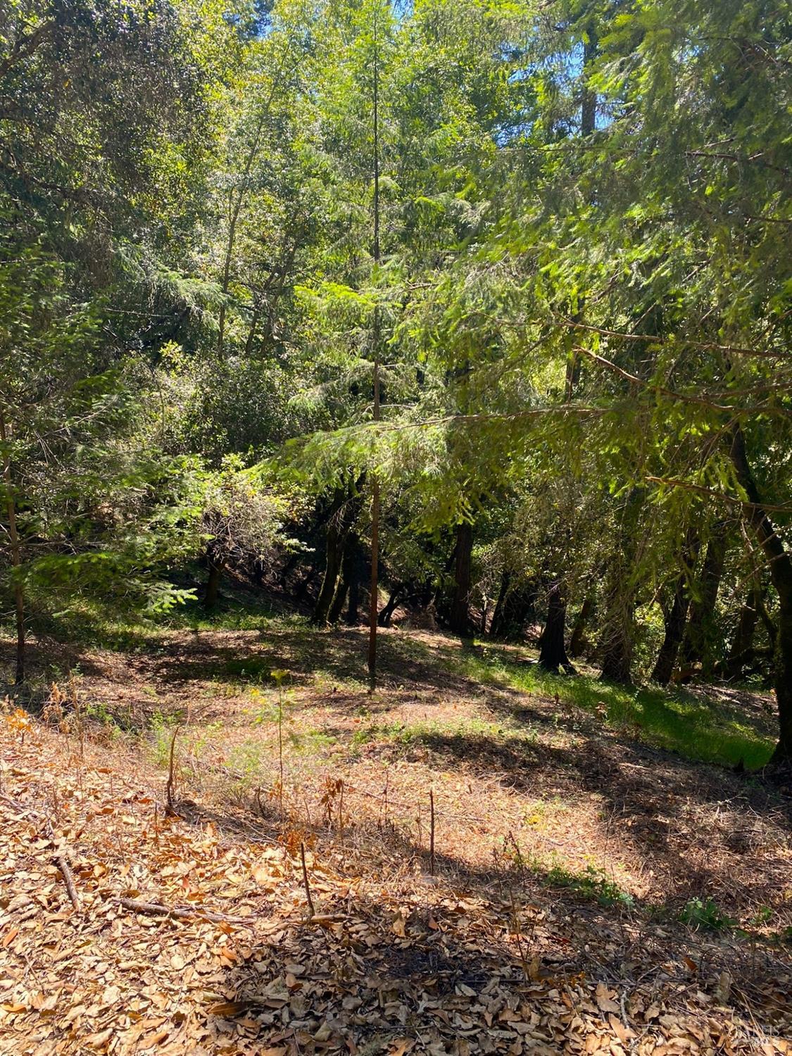 Detail Gallery Image 19 of 19 For 19800 Old Cazadero Rd, Guerneville,  CA 95421 - – Beds | – Baths