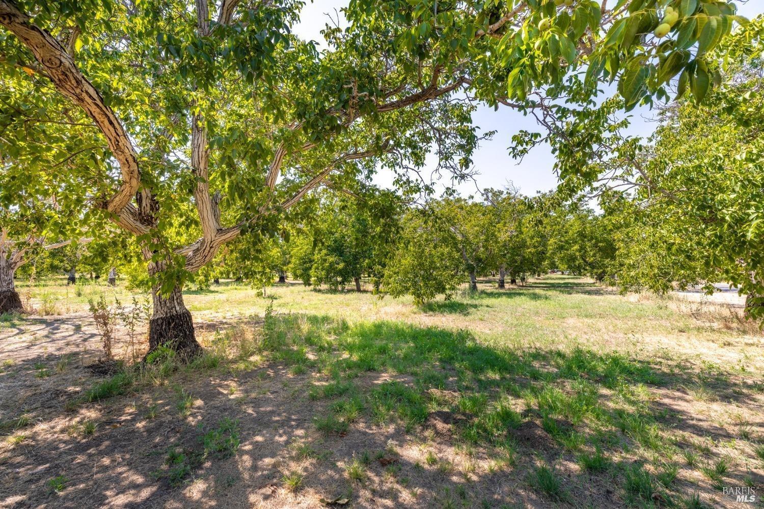 Detail Gallery Image 36 of 46 For 9211 Boyce Rd, Winters,  CA 95694 - 3 Beds | 1/1 Baths