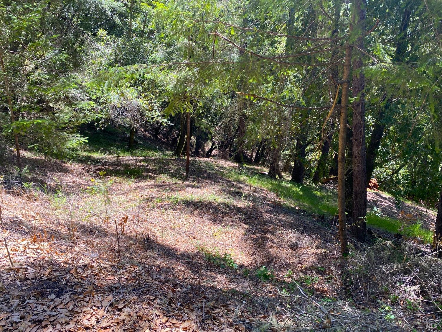 Detail Gallery Image 4 of 19 For 19800 Old Cazadero Rd, Guerneville,  CA 95421 - – Beds | – Baths