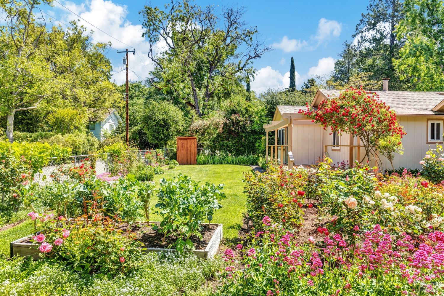 Detail Gallery Image 6 of 71 For 319 Glass Mountain Ln, Saint Helena,  CA 94574 - 2 Beds | 2 Baths