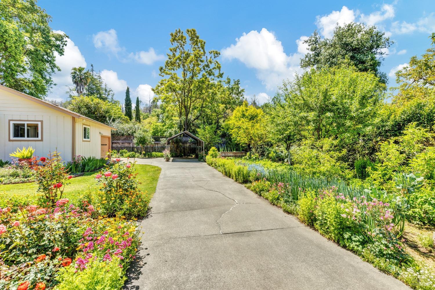 Detail Gallery Image 7 of 71 For 319 Glass Mountain Ln, Saint Helena,  CA 94574 - 2 Beds | 2 Baths