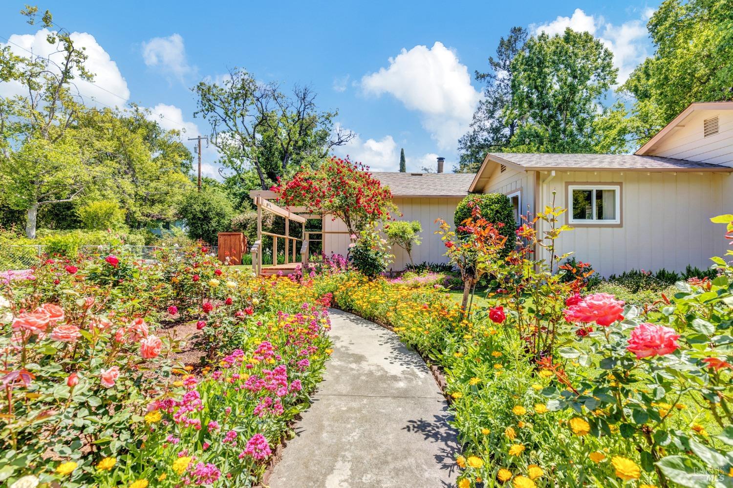 Detail Gallery Image 15 of 71 For 319 Glass Mountain Ln, Saint Helena,  CA 94574 - 2 Beds | 2 Baths