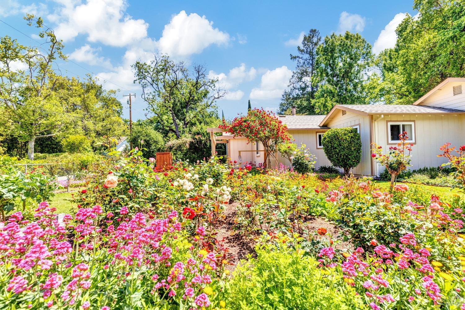 Detail Gallery Image 14 of 71 For 319 Glass Mountain Ln, Saint Helena,  CA 94574 - 2 Beds | 2 Baths