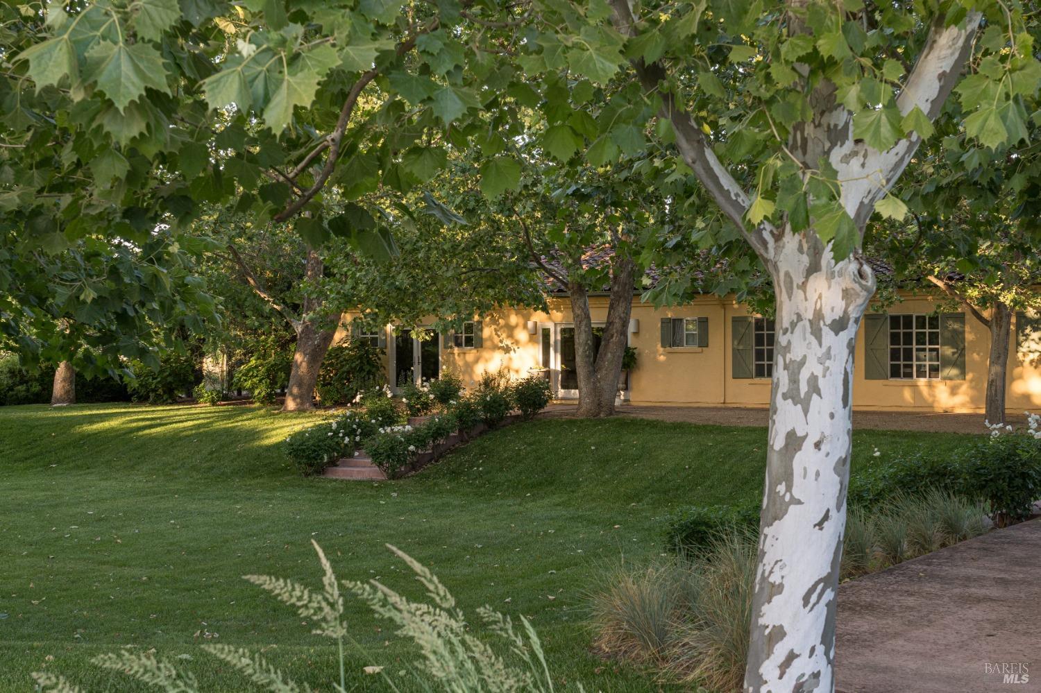 9422 Stevenson Bridge Road, Winters, California image 17
