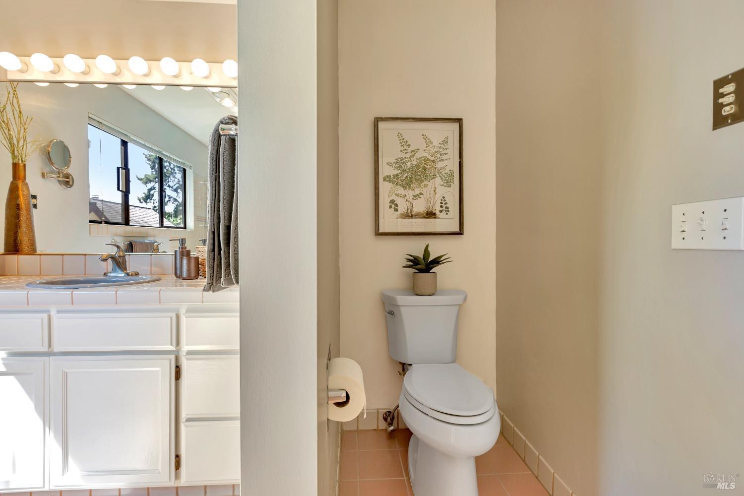 Detail Gallery Image 28 of 39 For 252 Miller Ave, Mill Valley,  CA 94941 - 3 Beds | 3/1 Baths