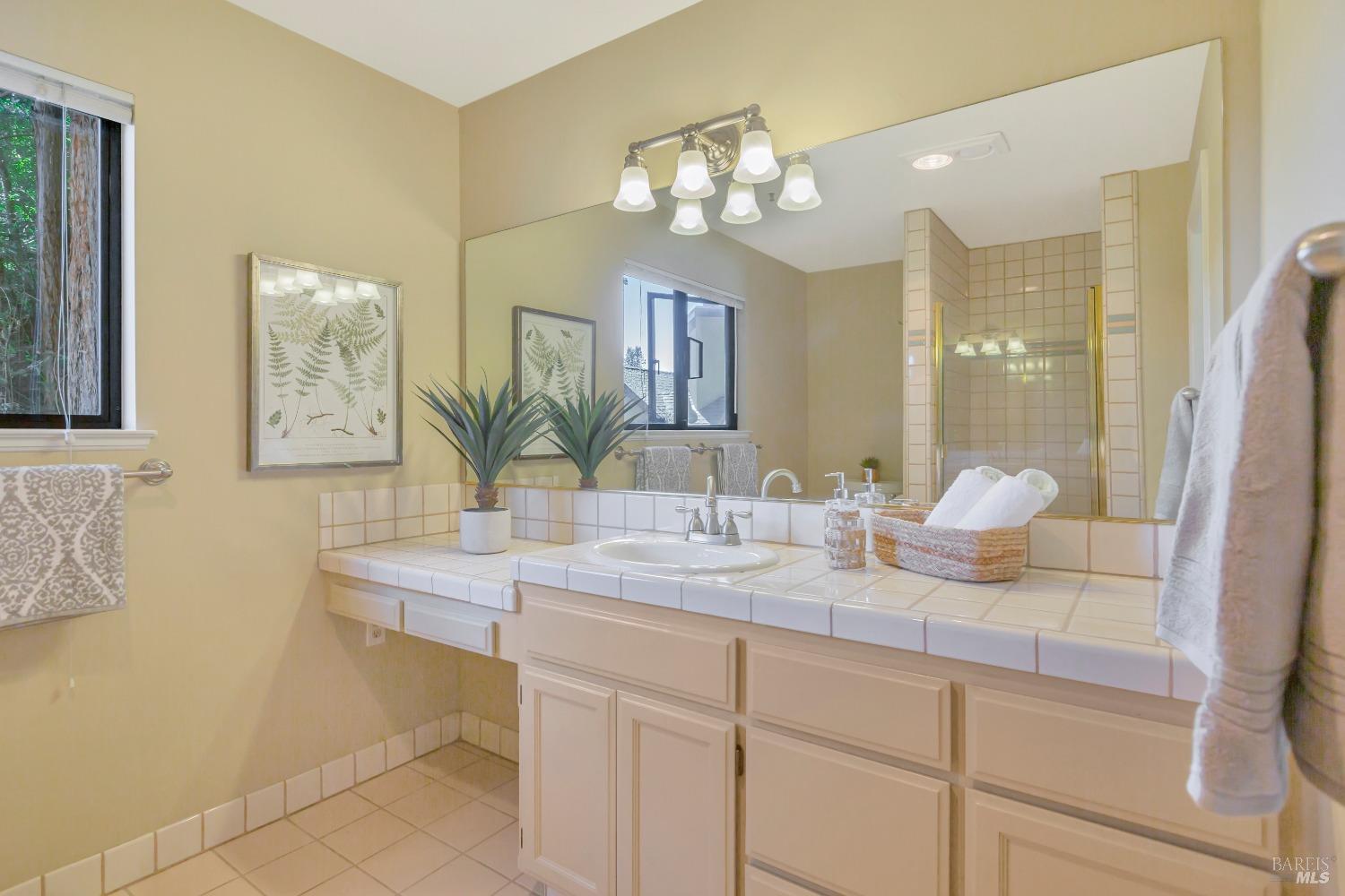 Detail Gallery Image 24 of 39 For 252 Miller Ave, Mill Valley,  CA 94941 - 3 Beds | 3/1 Baths