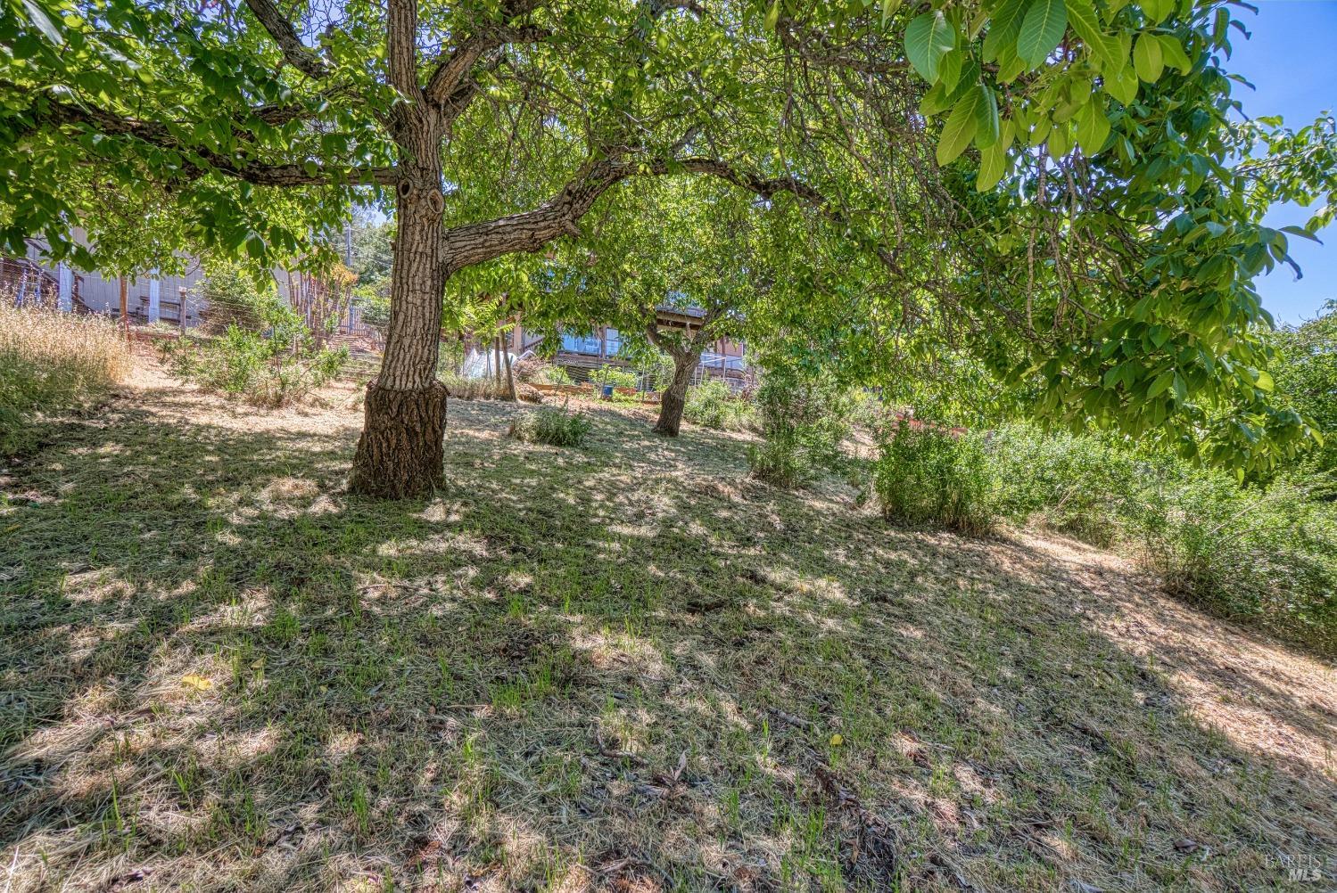 Detail Gallery Image 43 of 51 For 3176 Edgewood Dr, Kelseyville,  CA 95451 - 3 Beds | 2/1 Baths