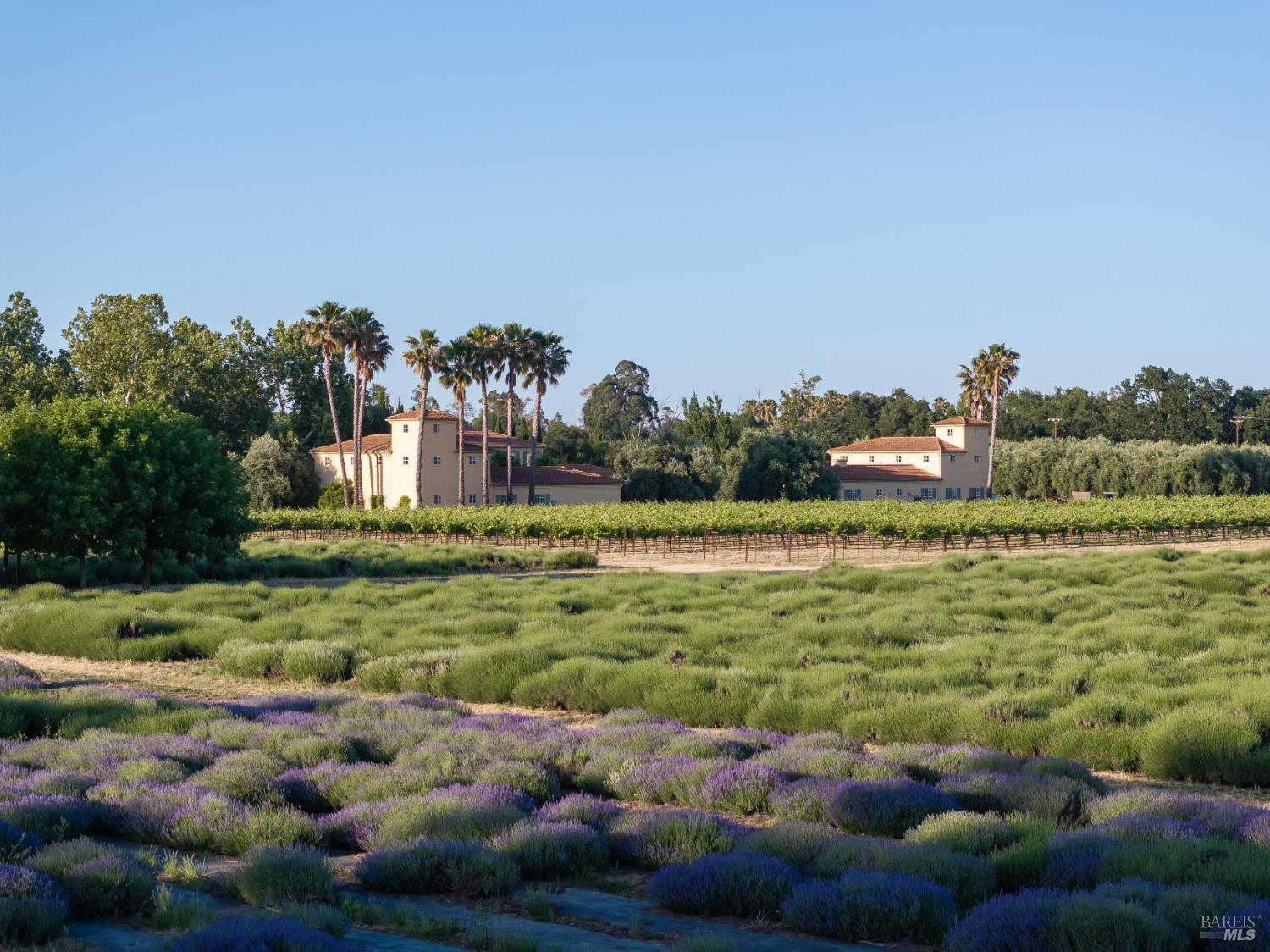 9422 Stevenson Bridge Road, Winters, California image 3