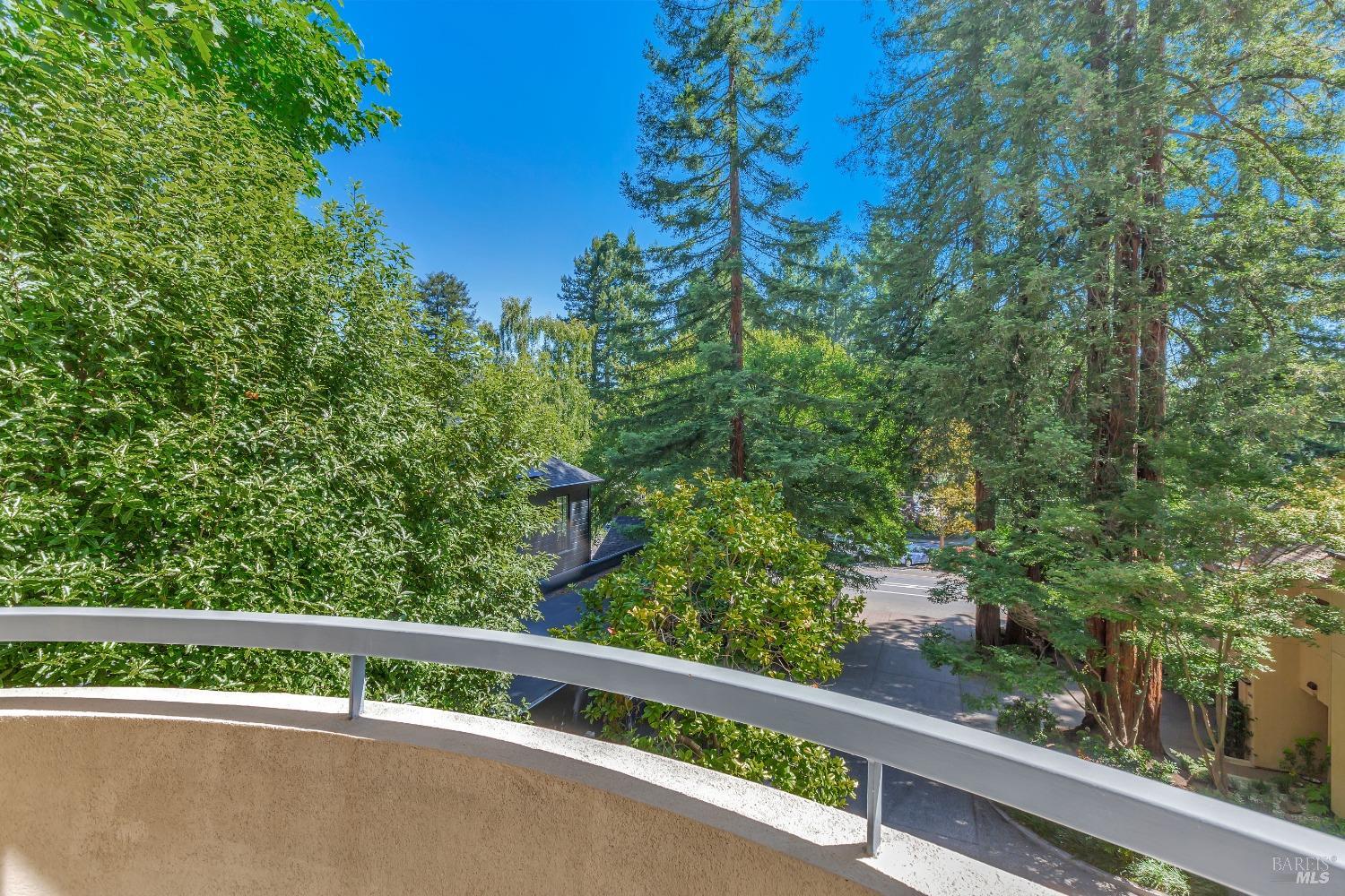 Detail Gallery Image 35 of 39 For 252 Miller Ave, Mill Valley,  CA 94941 - 3 Beds | 3/1 Baths