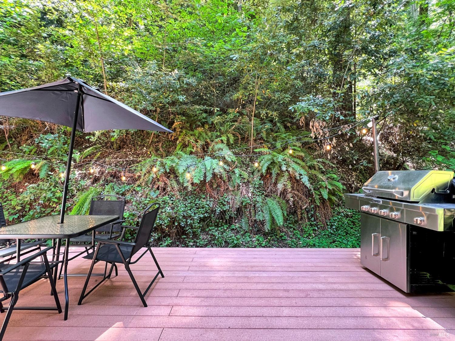 Detail Gallery Image 37 of 79 For 12000 Mays Canyon Rd, Guerneville,  CA 95446 - 2 Beds | 2 Baths