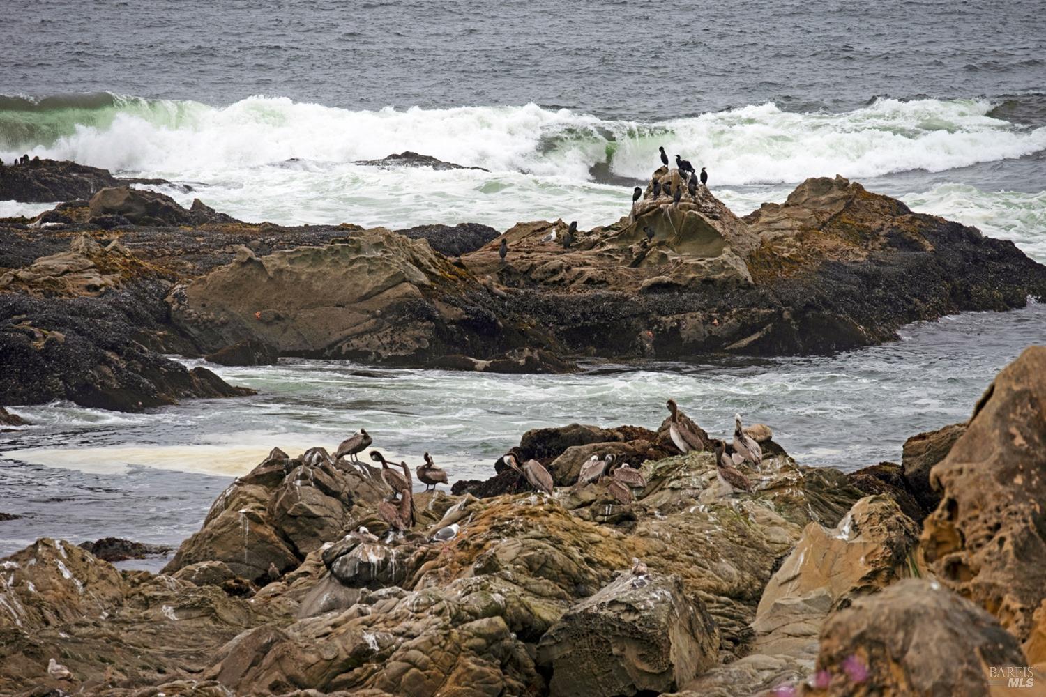 Del Mar Point Sea Ranch 398 Del Mar Pt, The Sea Ranch, CA 95497 - – Beds | – Baths (Sold ...