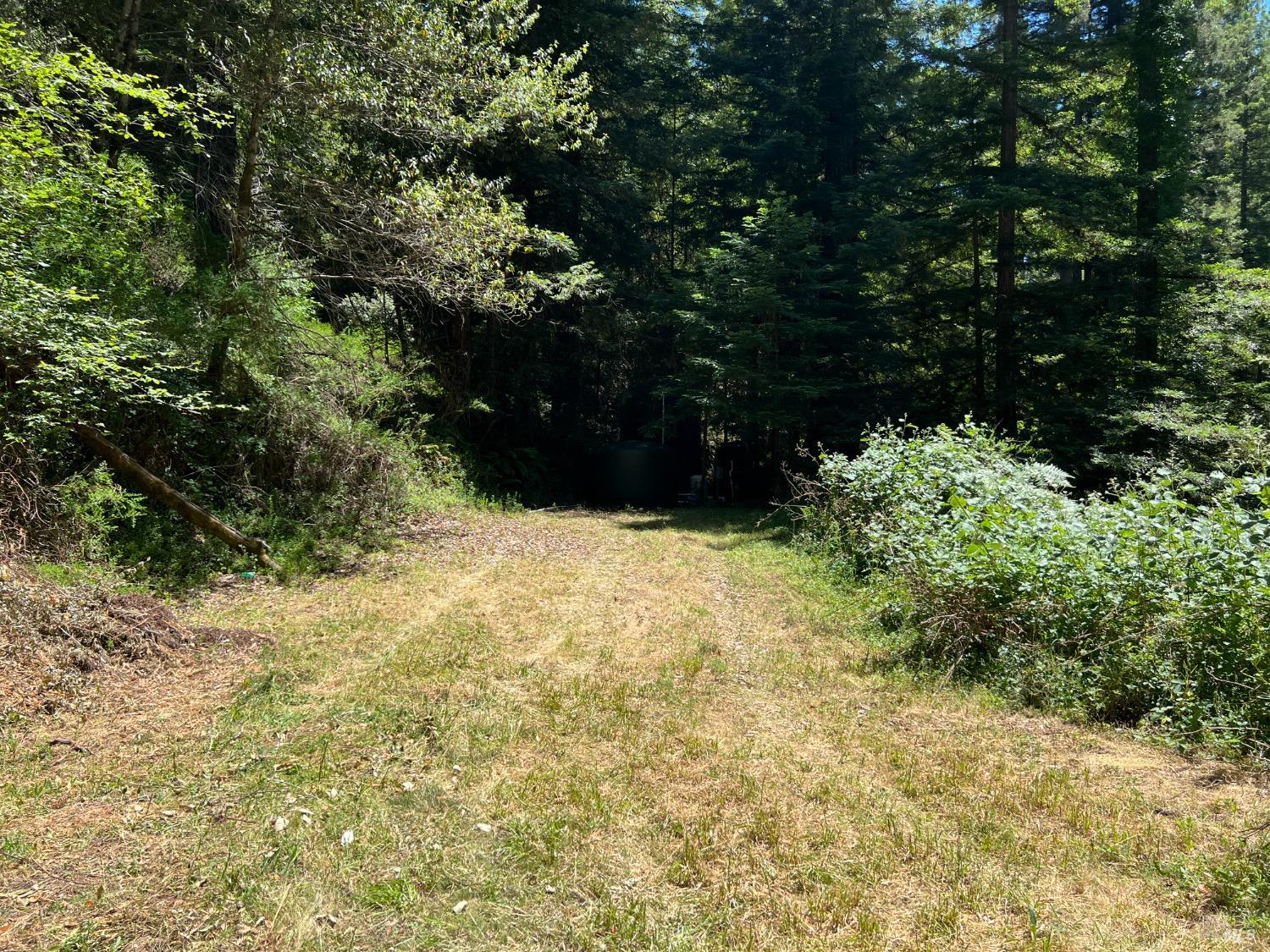 Detail Gallery Image 73 of 79 For 12000 Mays Canyon Rd, Guerneville,  CA 95446 - 2 Beds | 2 Baths