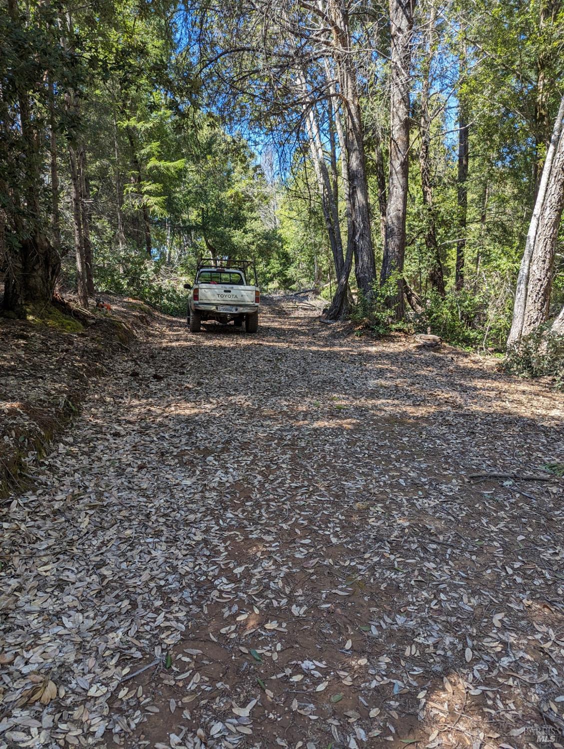 Detail Gallery Image 2 of 15 For 30928 King Ridge Rd, Cazadero,  CA 95421 - – Beds | – Baths