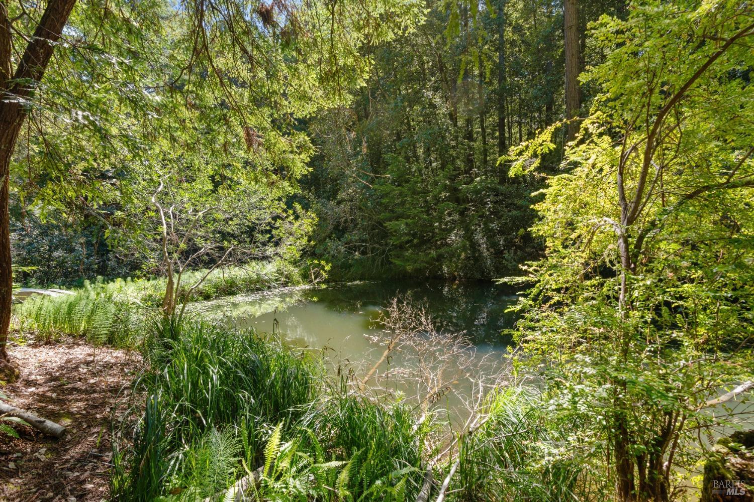 Detail Gallery Image 23 of 41 For 27501 Albion Ridge Rd, Albion,  CA 95410 - 2 Beds | 2/1 Baths