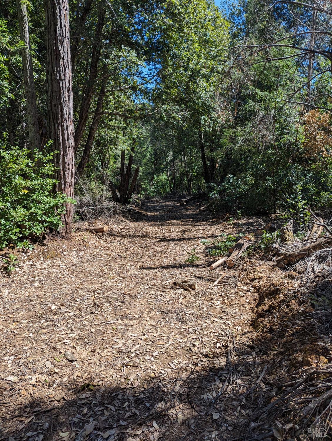 Detail Gallery Image 1 of 15 For 30928 King Ridge Rd, Cazadero,  CA 95421 - – Beds | – Baths