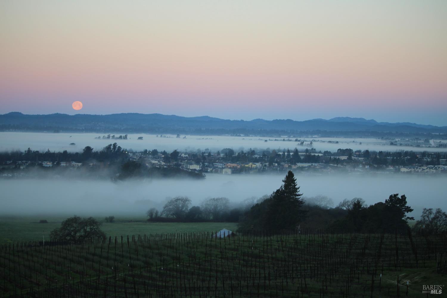 Detail Gallery Image 45 of 80 For 4000 Petaluma Hill Rd, Santa Rosa,  CA 95404 - 4 Beds | 3/1 Baths