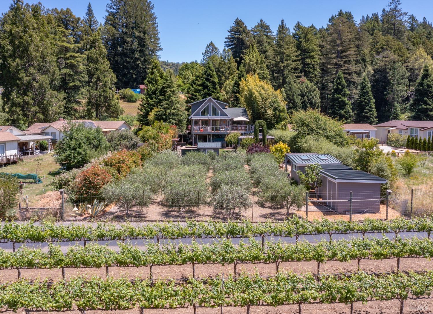 Detail Gallery Image 84 of 99 For 16548 Laughlin Rd, Guerneville,  CA 95446 - 4 Beds | 3 Baths