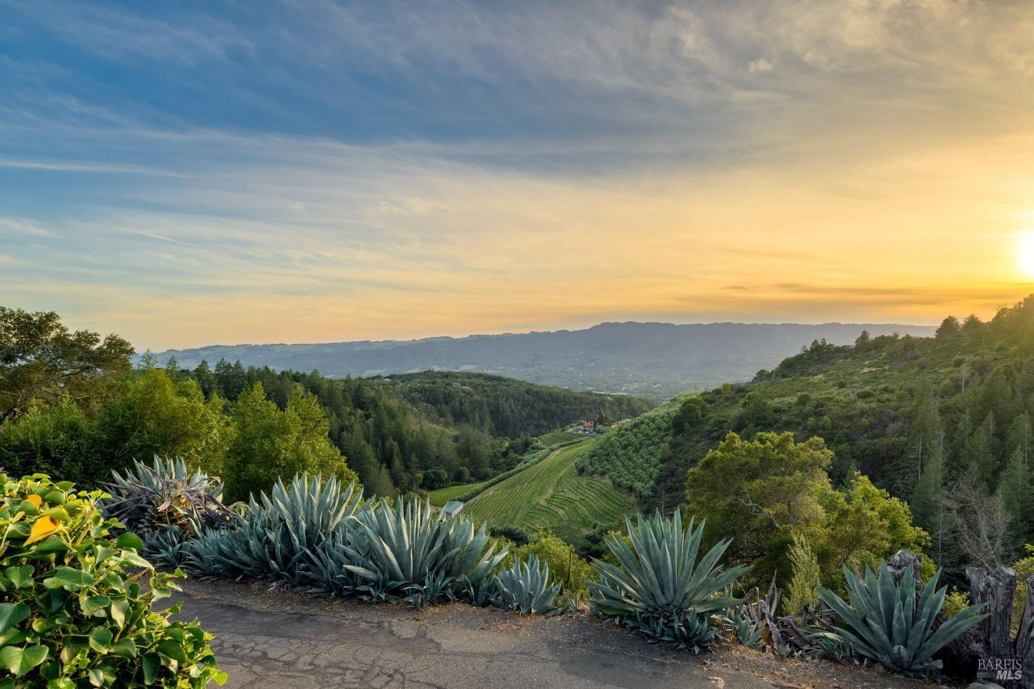 Detail Gallery Image 2 of 43 For 1550 Moon Mountain Rd, Sonoma,  CA 95476 - 14 Beds | 9 Baths