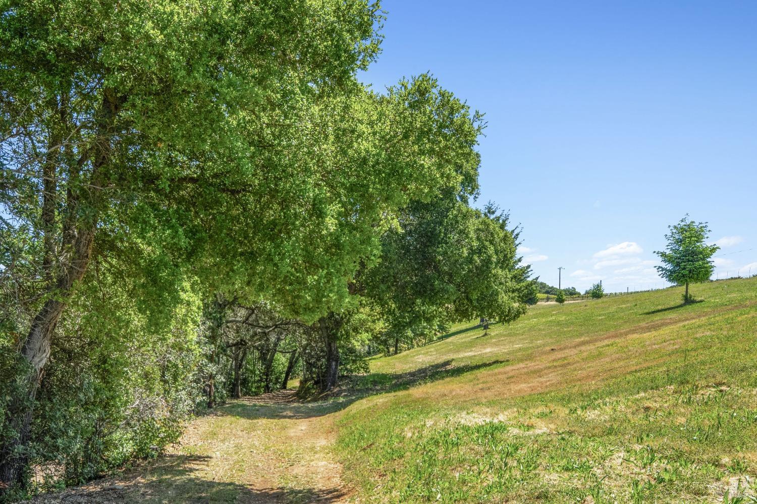 Detail Gallery Image 9 of 43 For 1550 Moon Mountain Rd, Sonoma,  CA 95476 - 14 Beds | 9 Baths