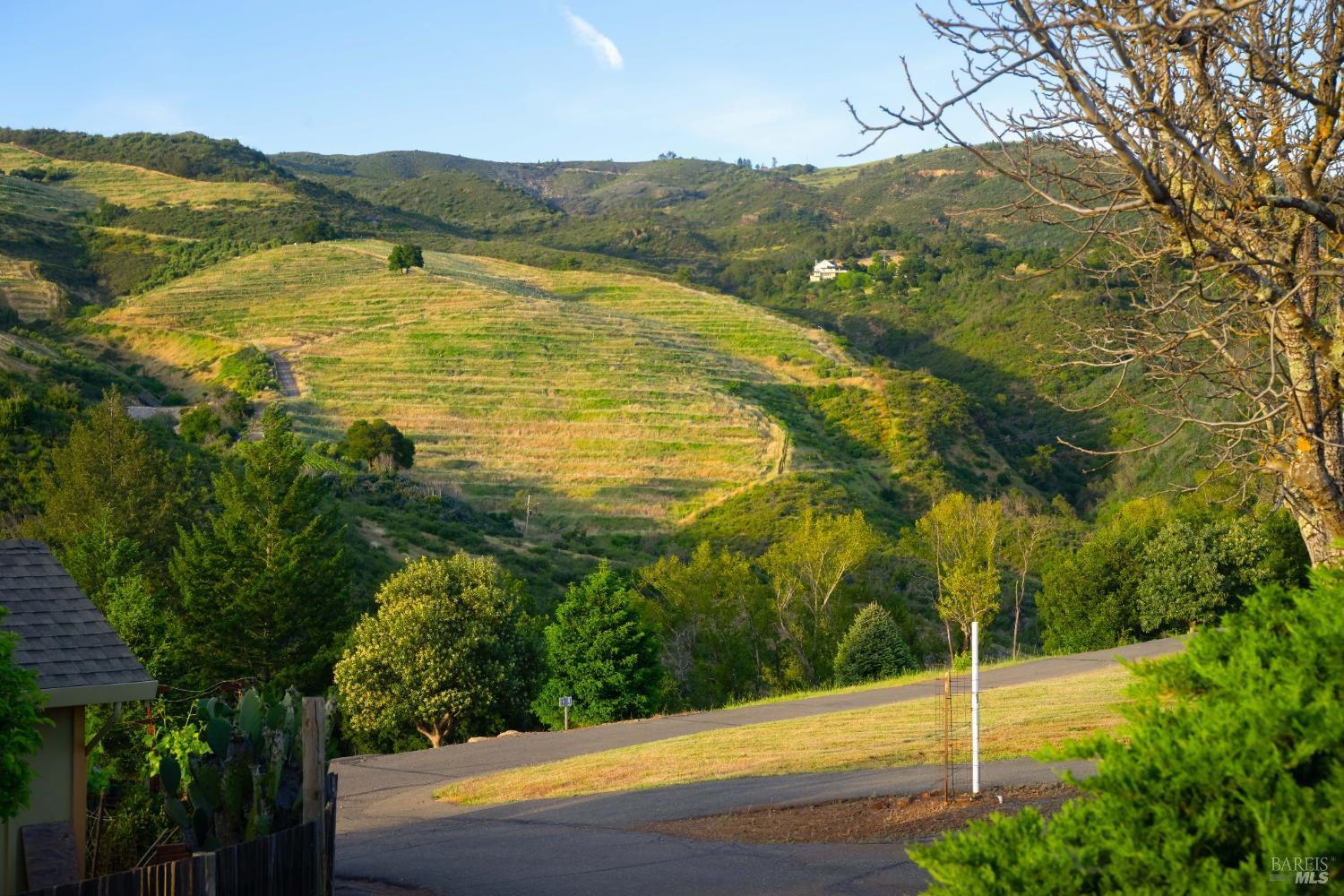 Detail Gallery Image 7 of 43 For 1550 Moon Mountain Rd, Sonoma,  CA 95476 - 14 Beds | 9 Baths