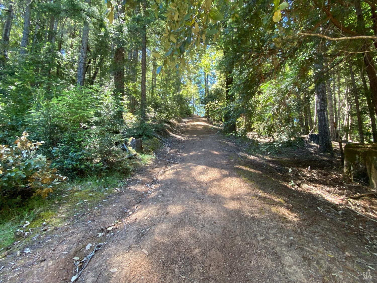 Detail Gallery Image 39 of 49 For 16161 Honey Ridge Rd, Boonville,  CA 95415 - 2 Beds | 1/1 Baths