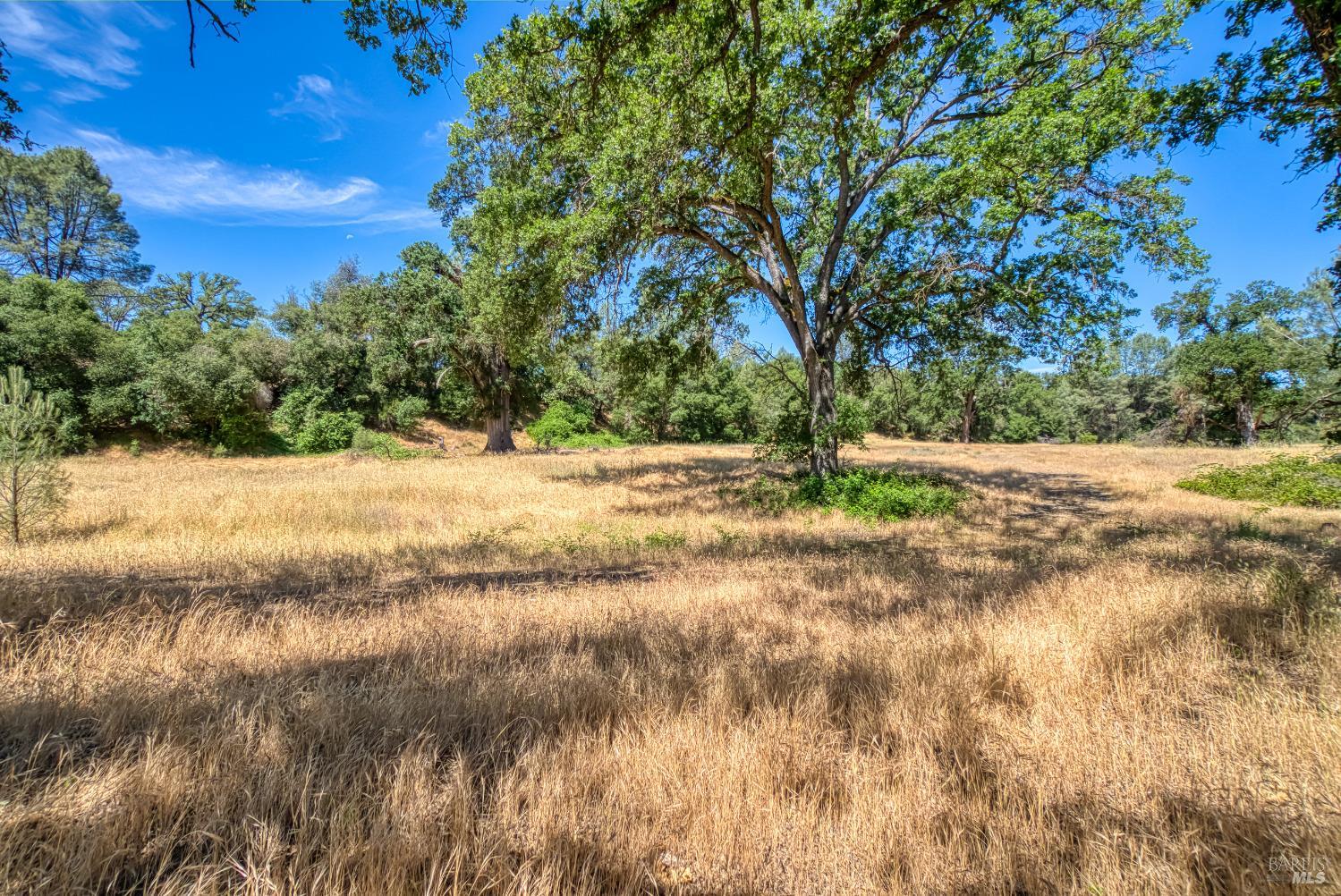 Detail Gallery Image 52 of 68 For 1540 New Long Valley Rd #11392,  Clearlake Oaks,  CA 95423 - 3 Beds | 2 Baths