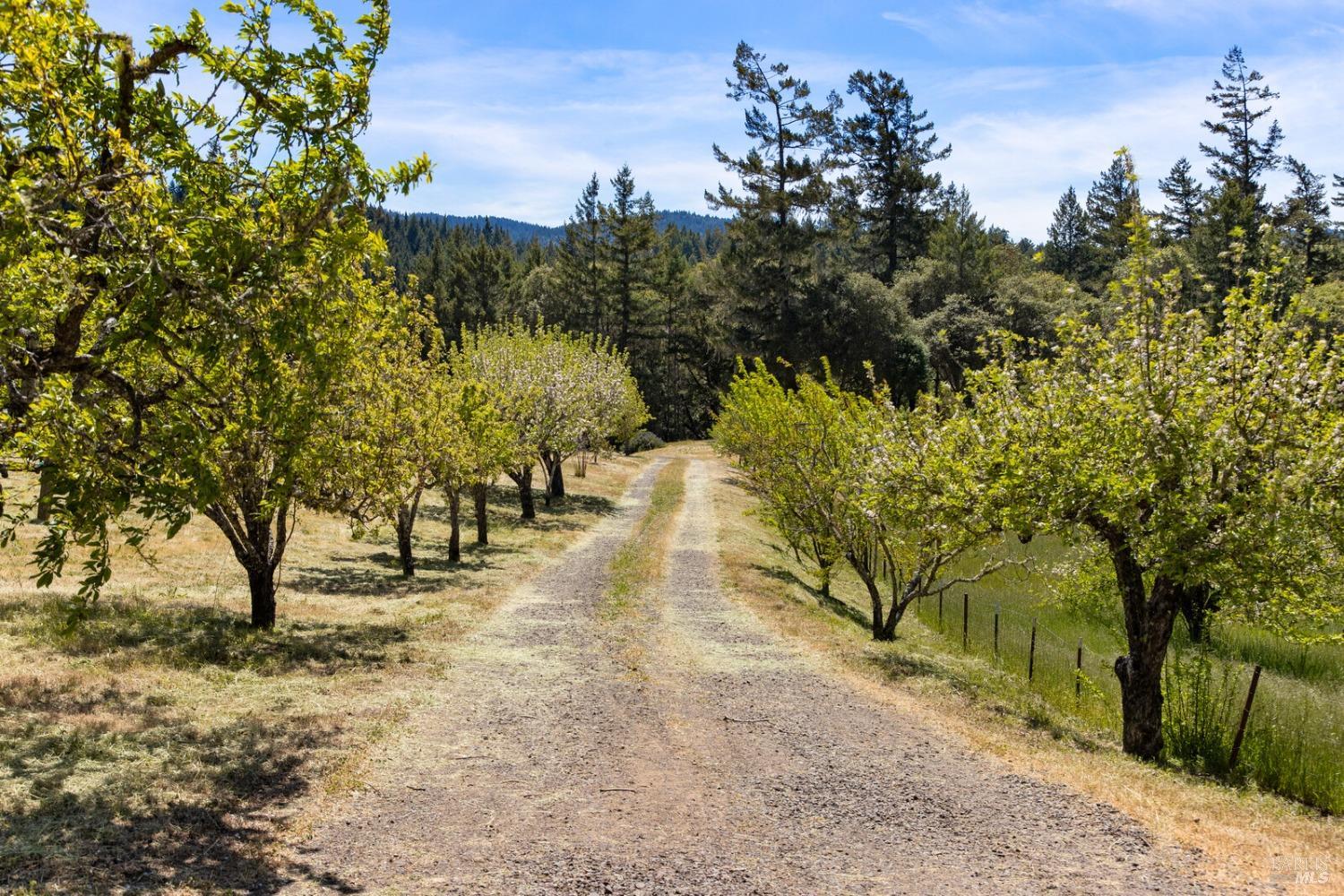 Detail Gallery Image 19 of 39 For 1825 Highway 128 Unkn, Philo,  CA 95466 - 1 Beds | 1 Baths