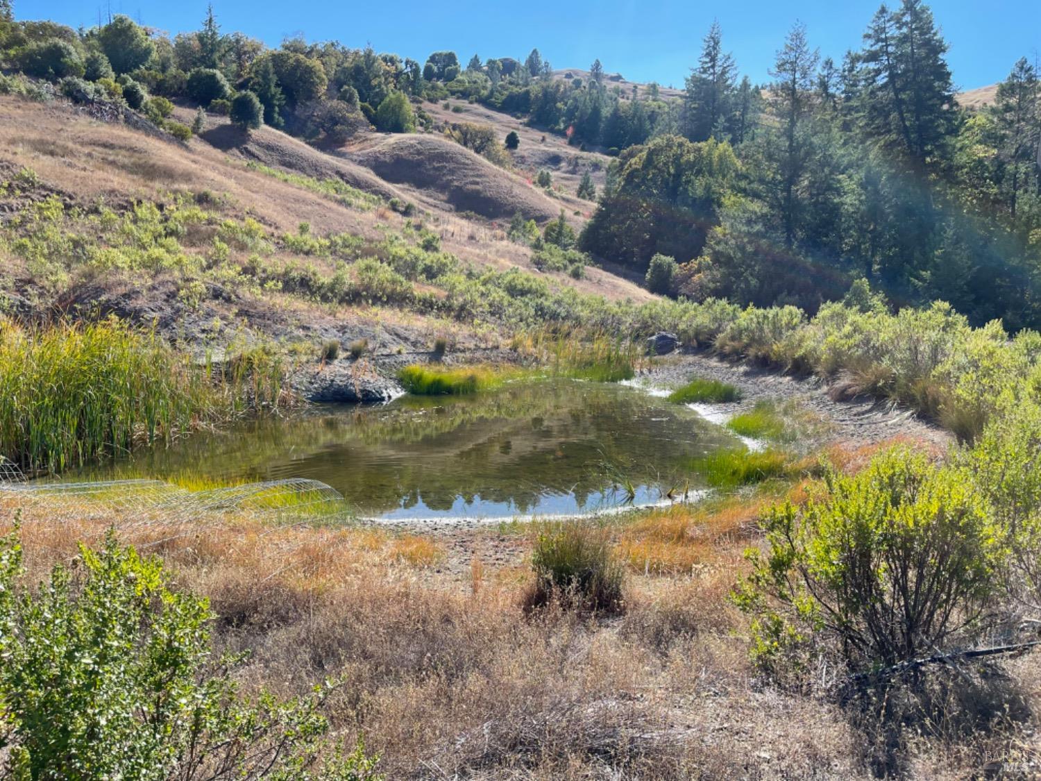 Detail Gallery Image 14 of 24 For 59002 George Washington Rock Rd, Leggett,  CA 95585 - – Beds | – Baths