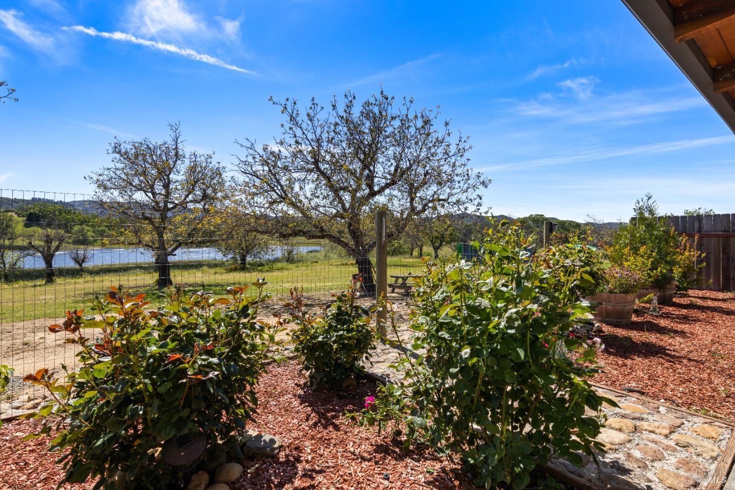 Detail Gallery Image 27 of 51 For 7875 Adobe Creek Rd, Kelseyville,  CA 95451 - 4 Beds | 4 Baths