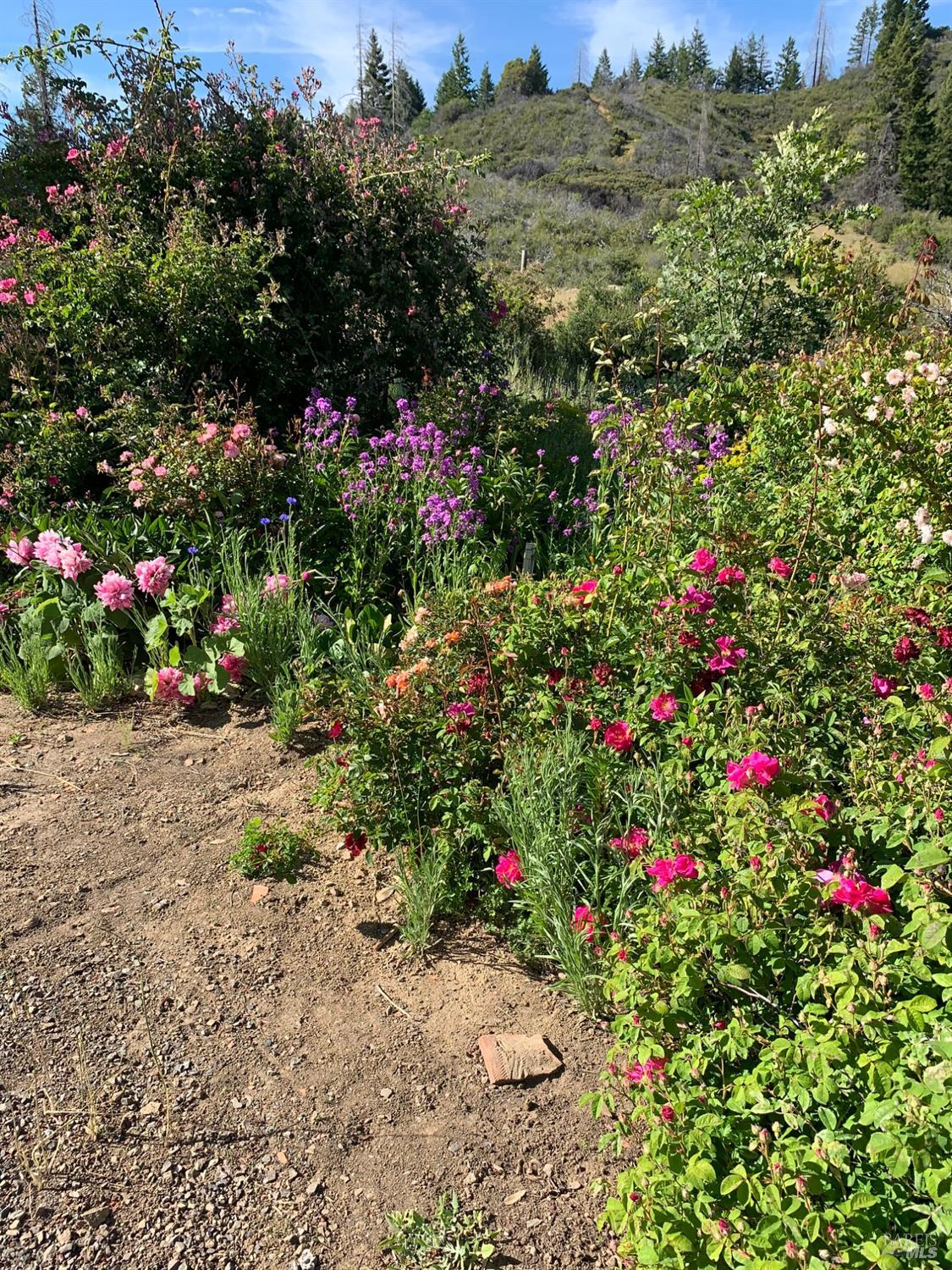 Detail Gallery Image 72 of 83 For 19155 Scenic Dr, Redwood Valley,  CA 95470 - 2 Beds | 2 Baths