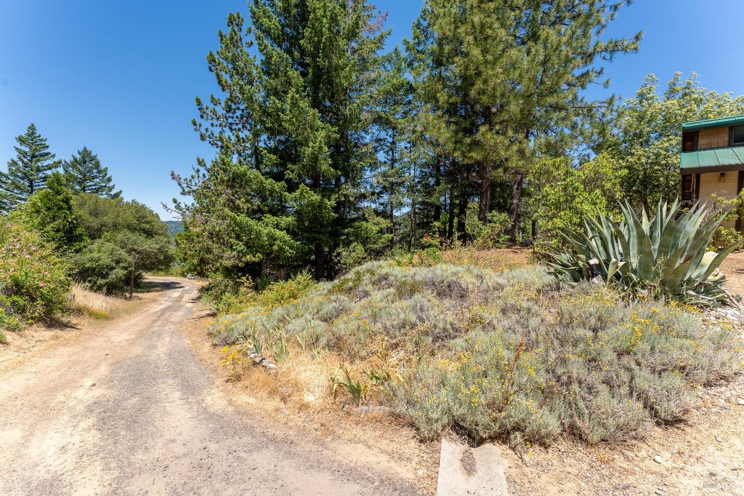 Detail Gallery Image 34 of 83 For 19155 Scenic Dr, Redwood Valley,  CA 95470 - 2 Beds | 2 Baths