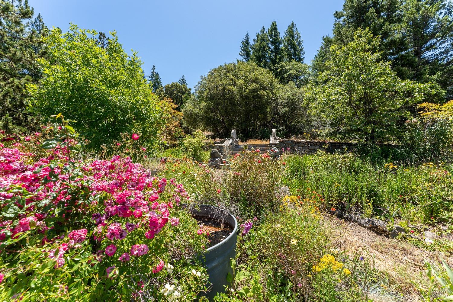 Detail Gallery Image 53 of 83 For 19155 Scenic Dr, Redwood Valley,  CA 95470 - 2 Beds | 2 Baths