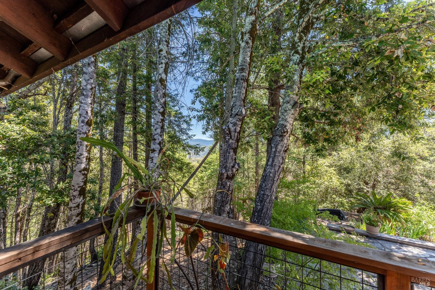 Detail Gallery Image 29 of 83 For 19155 Scenic Dr, Redwood Valley,  CA 95470 - 2 Beds | 2 Baths