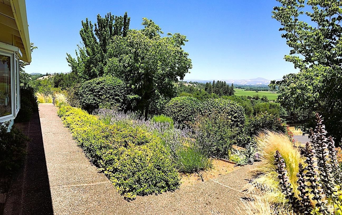 Detail Gallery Image 6 of 19 For 2901 Westside Rd, Healdsburg,  CA 95448 - 3 Beds | 2/1 Baths