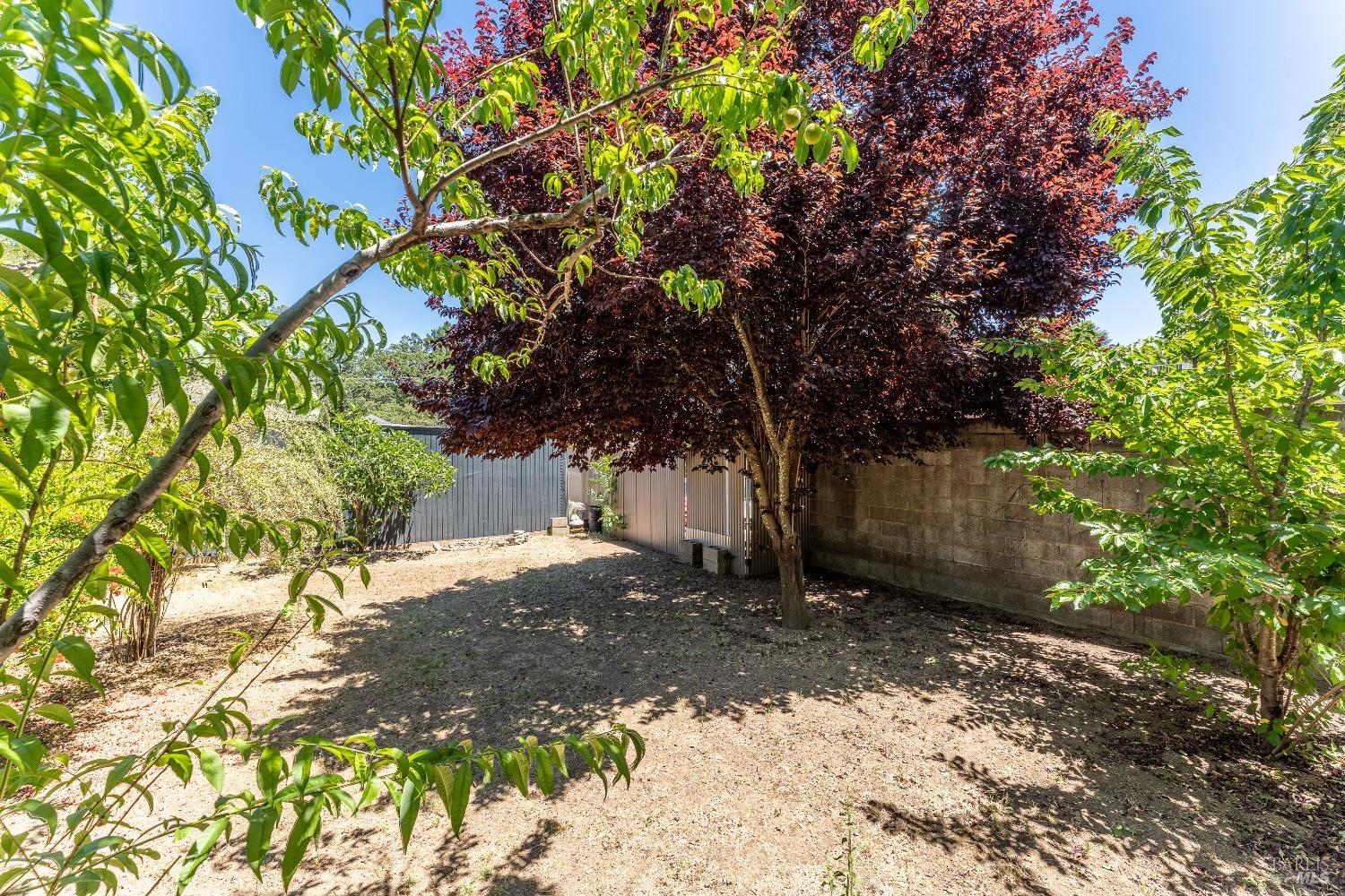 Detail Gallery Image 39 of 54 For 611 Holden St, Ukiah,  CA 95482 - 4 Beds | 2/1 Baths