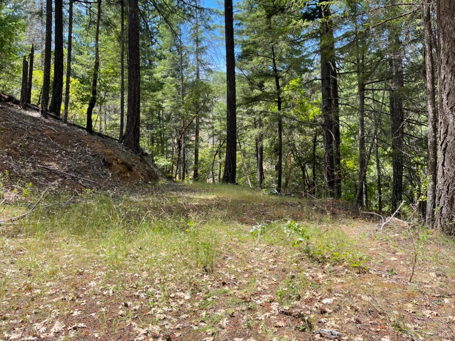 Woodman Creek Road Laytonville, California, United States Luxury Home