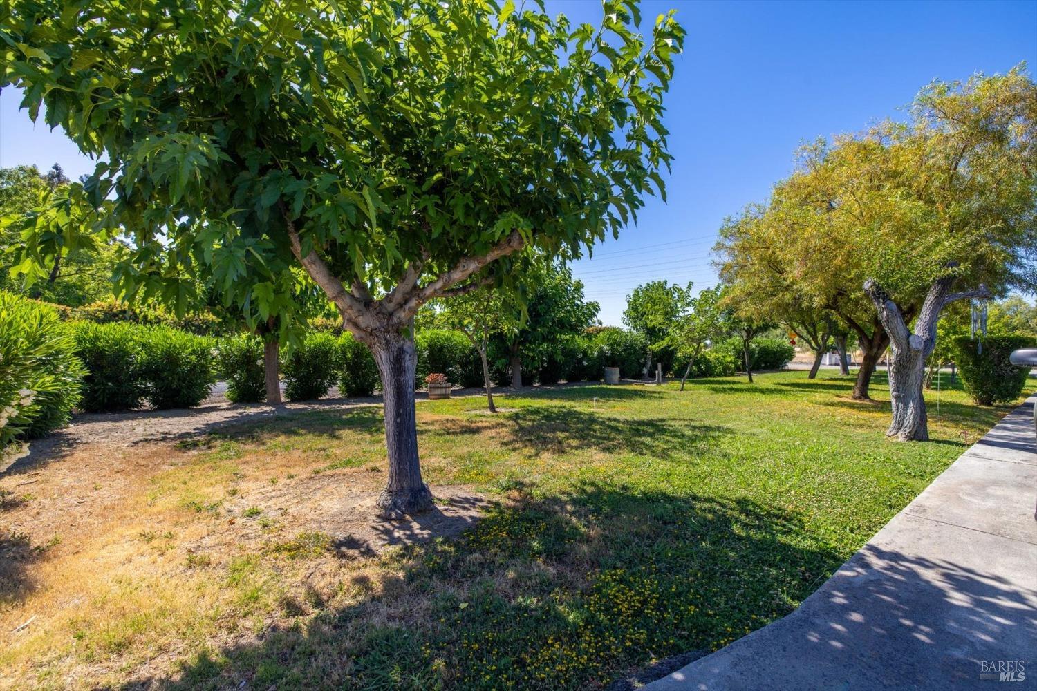 Detail Gallery Image 27 of 49 For 7046 Mills Ln, Vacaville,  CA 95688 - 3 Beds | 2/1 Baths