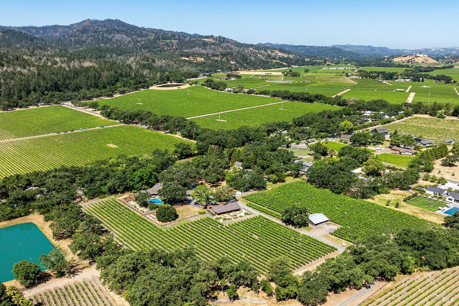 Detail Gallery Image 1 of 1 For 1109 Bale Ln, Calistoga,  CA 94515 - 4 Beds | 4/1 Baths