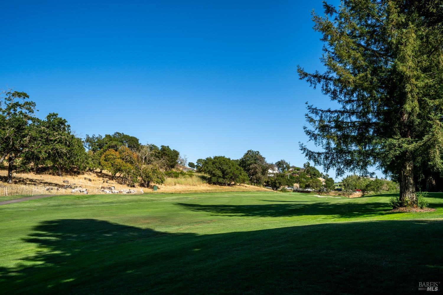 Detail Gallery Image 45 of 45 For 2015 Stonefield Ln, Santa Rosa,  CA 95403 - 3 Beds | 2/1 Baths