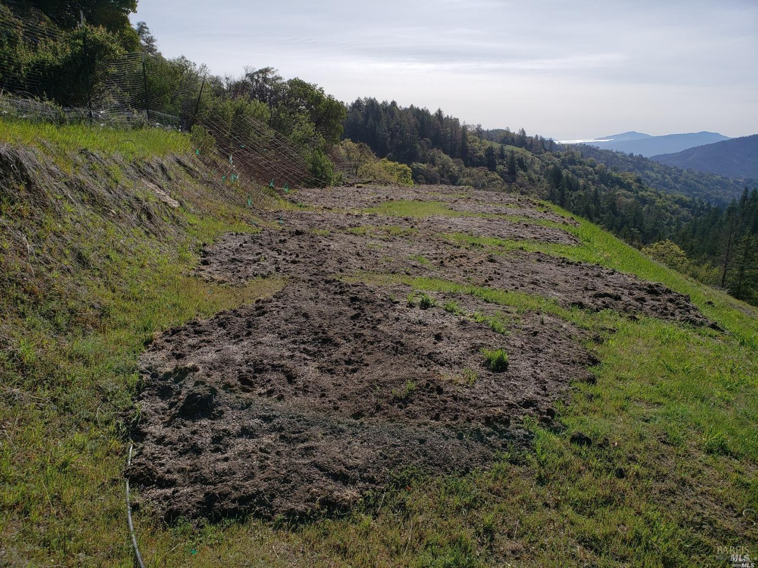 Simmerly Road, Laytonville, California image 6