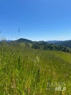 Detail Gallery Image 35 of 38 For 7020 Hearst Rd, Willits,  CA 95490 - 2 Beds | 1 Baths