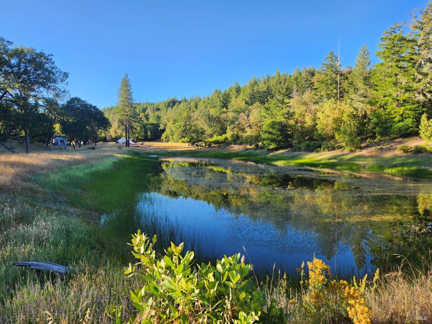 Detail Gallery Image 31 of 44 For 97420 Mina Rd, Covelo,  CA 95428 - 2 Beds | 1 Baths